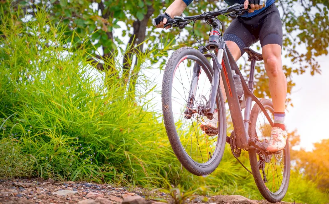 Czym się kierować przy wyborze roweru MTB 29 cali