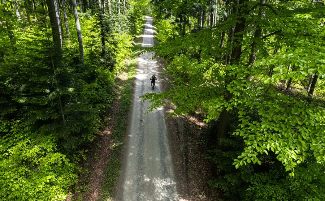 Rower MTB 27.5 czy 29 cali - który będzie lepszy